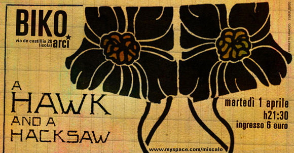 A Hawk and a Hacksaw