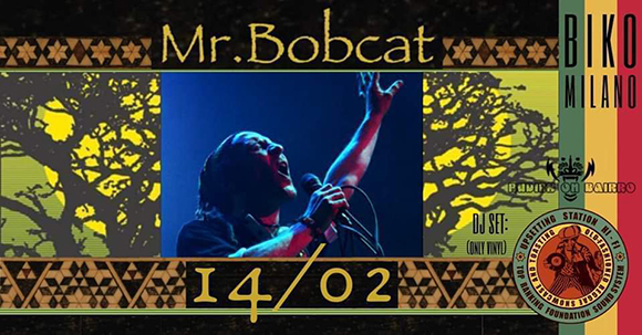 Mr Bobcat